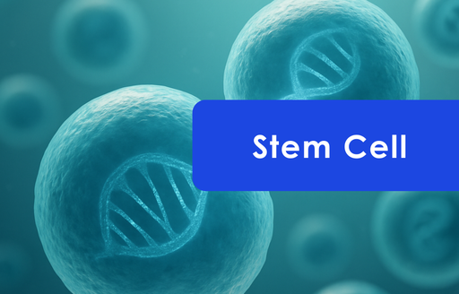 Stem Cells